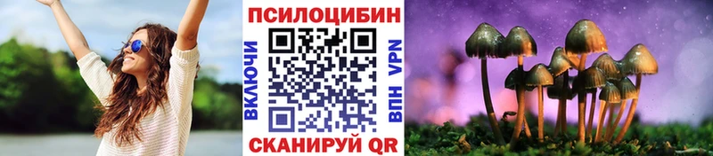 Галлюциногенные грибы Psilocybine cubensis  Купить где  Куровское 